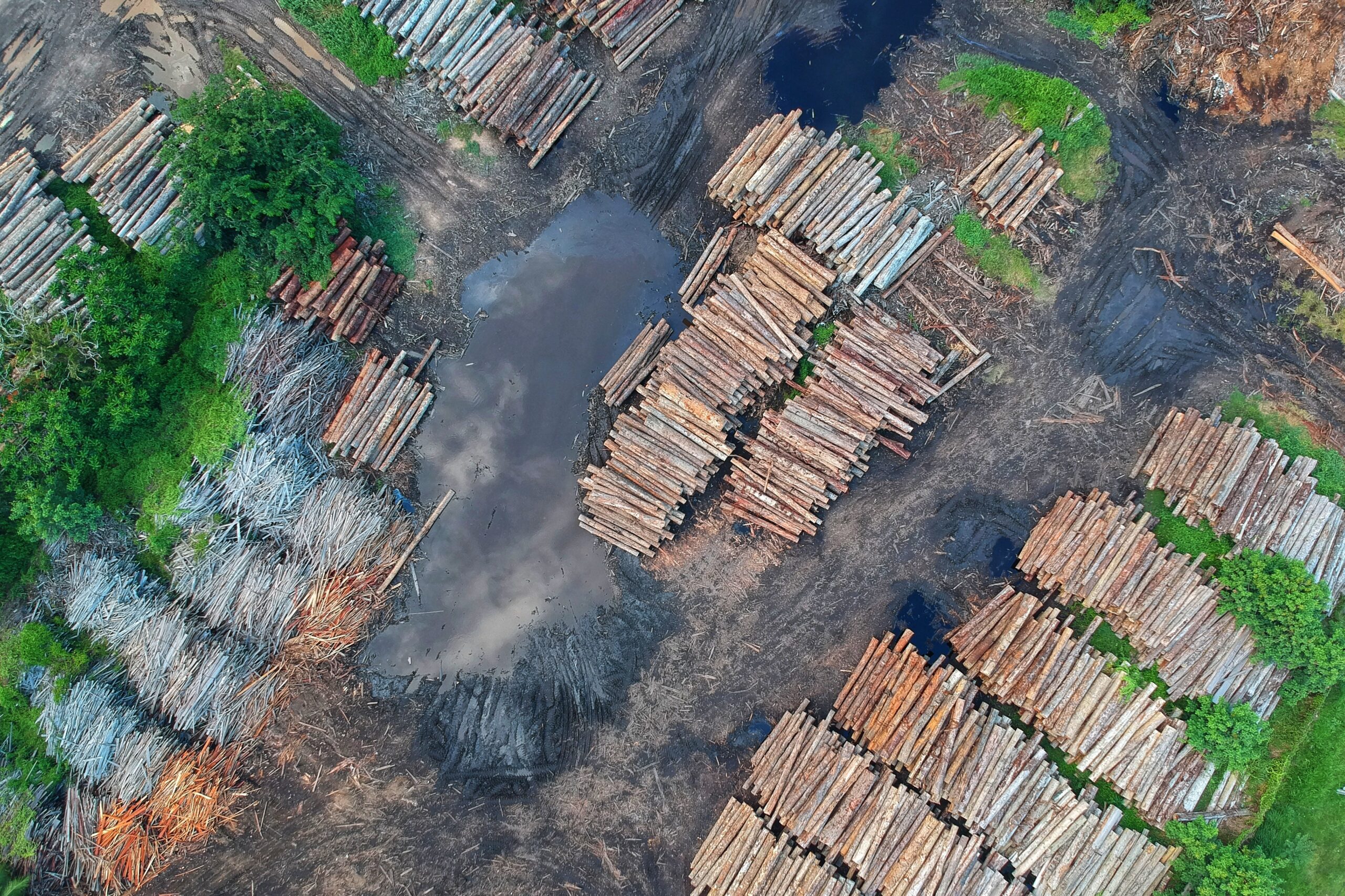 How is Bolsonaro’s government dismantling the Brazilian indigenist policy?