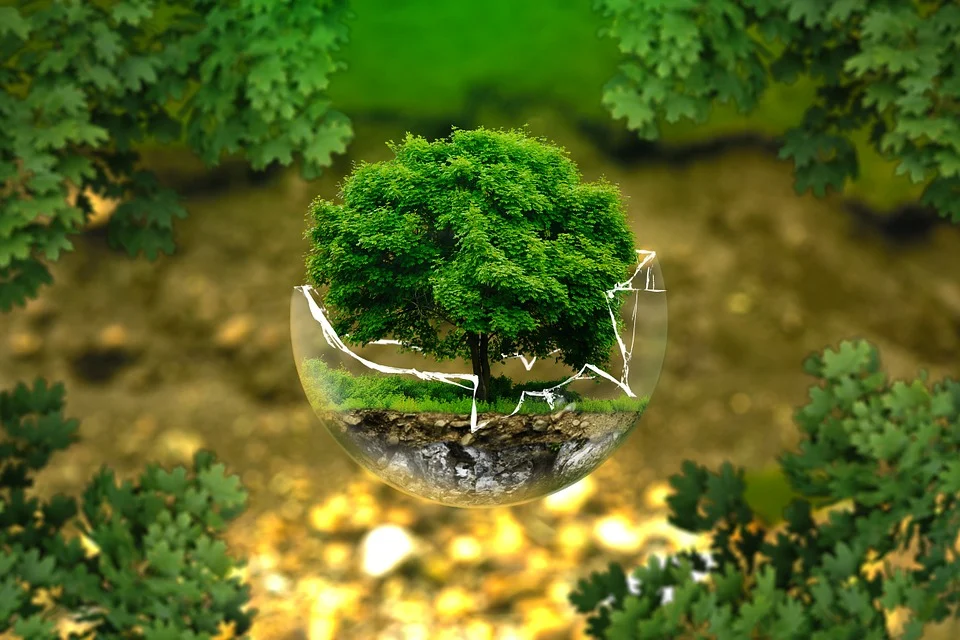 The 2030 Agenda in dialogue with Science, Technology and Innovation Policies for the 21st century in Brazil