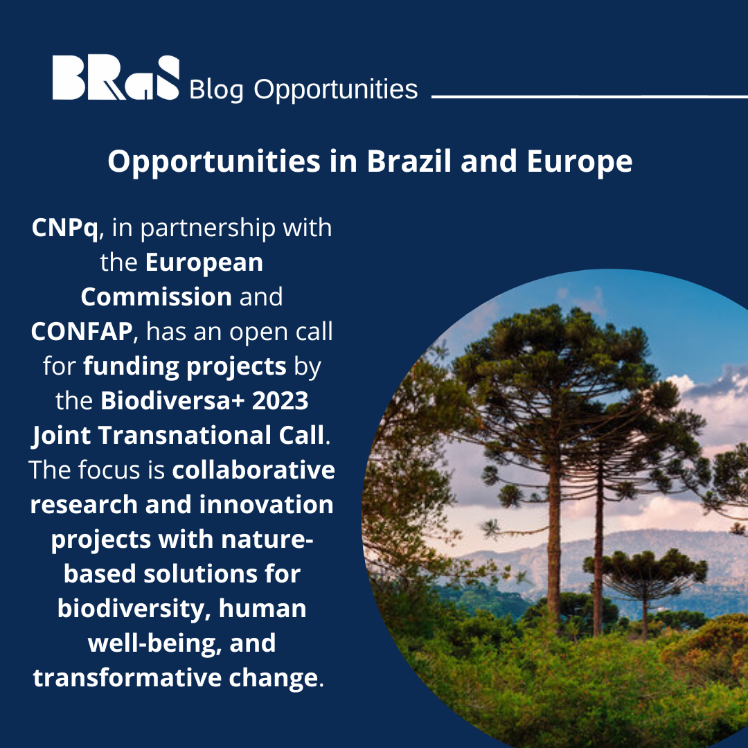 Opportunities in Brazil and Europe