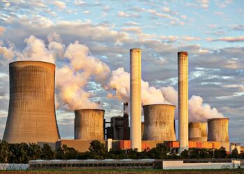 Differences in the Industrialization Process of Brazil and Argentina