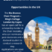 Opportunities in the UK 
