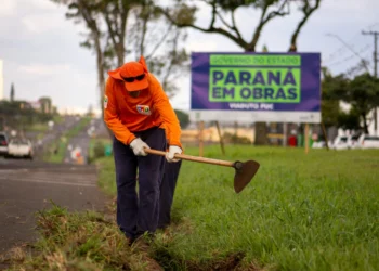 New Volume Analyses Public Policy Under the Bolsonaro Government