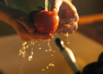 The Role of Food Security Policies in Times of Crisis