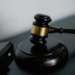 Judicial Decisions and Political Bias: Voter Perceptions in a Polarized Brazil