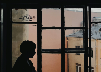 The Rise of Political Outsiders: A Concept Under Construction