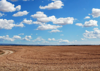 Environmental Education in the Prison System: A Path to Citizenship