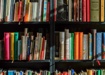 The National Education System: History, Proposals, and Current Challenges