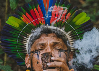 Study Reveals That Indigenous Leadership Mobilization Contributes to Land Demarcation in Brazil