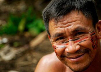 Brazilian foreign policy in the context of the G20, the BRICS and COP30