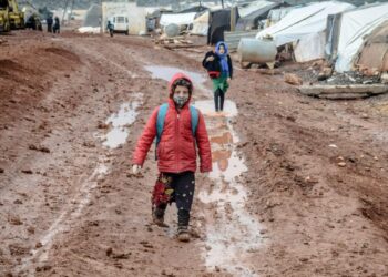 Democratic Resilience in Latin America: Study Analyzes Institutional Responses to Crises