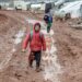 Democratic Resilience in Latin America: Study Analyzes Institutional Responses to Crises