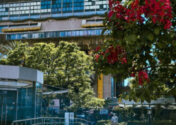 How State-Level Rules Shape Municipal Public Policy Councils