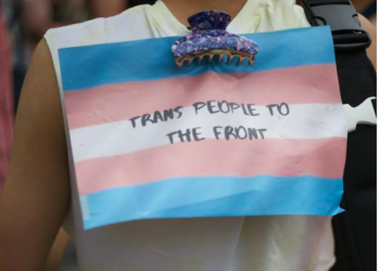 Social Reintegration of Trans People: The Transcitizenship Model in Perspective